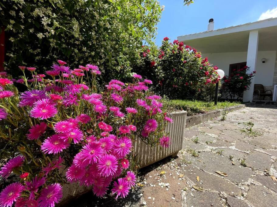 Rose Country Vila Cassano delle Murge Exterior foto